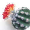 Artificial Barrel Cactus
