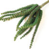 Artificial Crassula, Worm Succulent