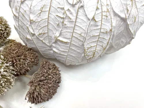 white leaf pumpkin